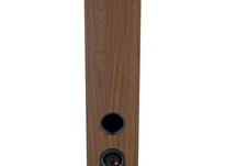 Focal Theva N°3 — Kolumny podłogowe premium z technologią Slatefiber Dark Wood - 4