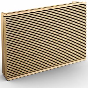 BeoSound Level Gold Tone